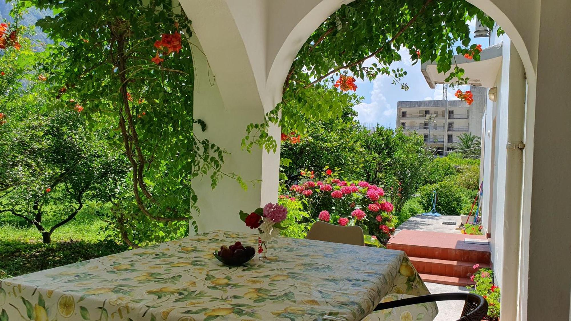 Apartments Ognjenovic Risan Εξωτερικό φωτογραφία