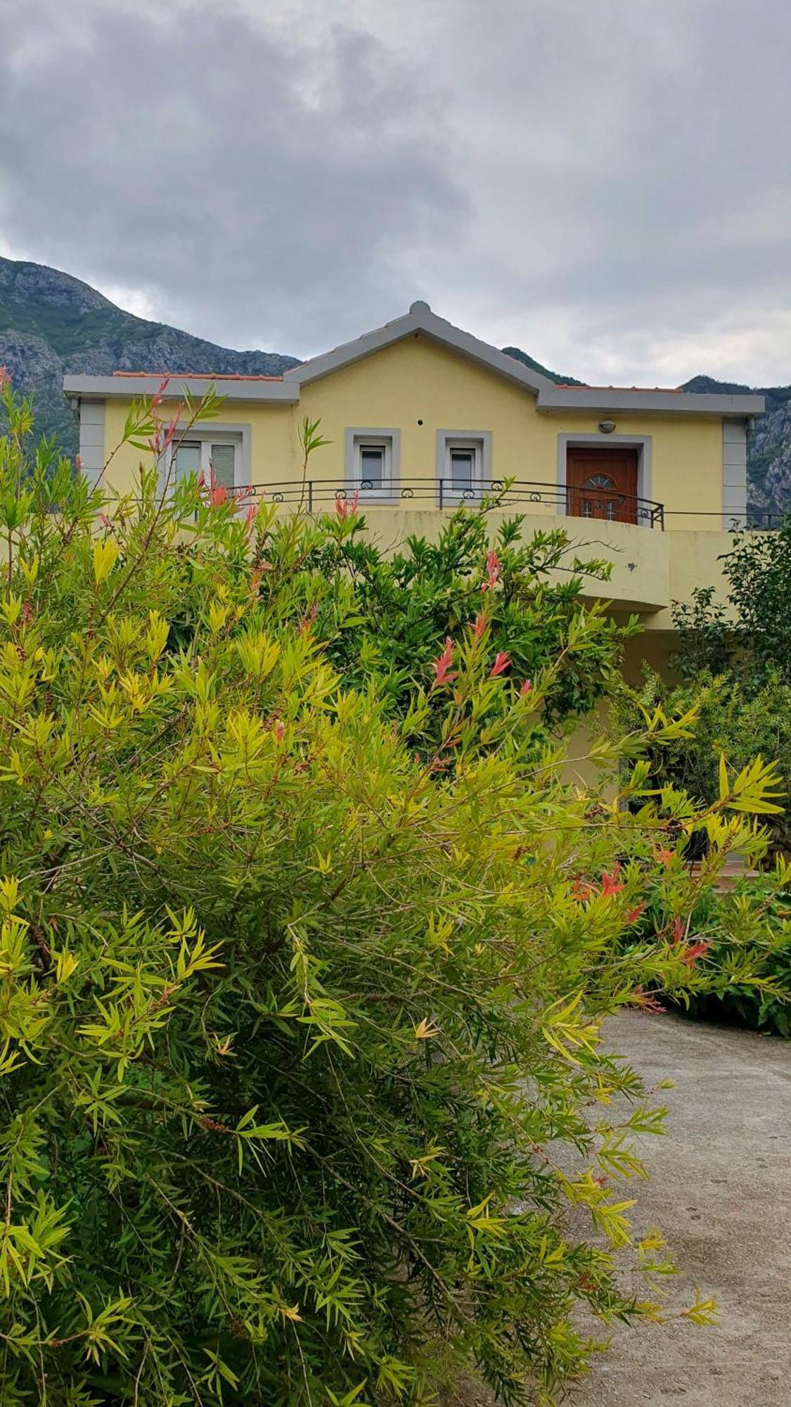 Apartments Ognjenovic Risan Εξωτερικό φωτογραφία