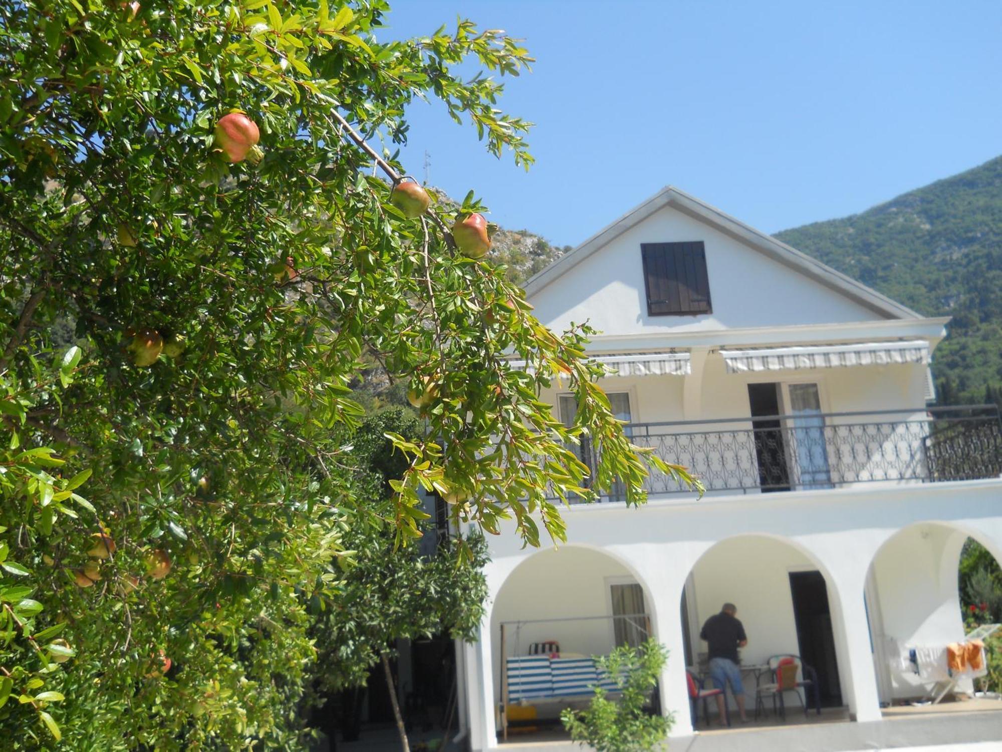Apartments Ognjenovic Risan Εξωτερικό φωτογραφία